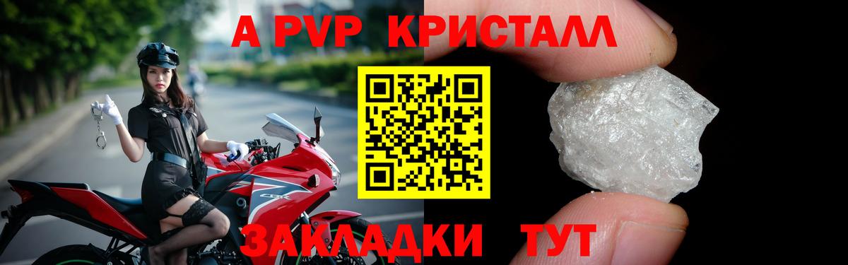 A PVP СК Новошахтинск