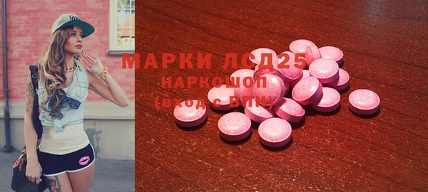 стаф Алзамай
