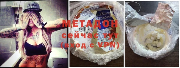 стаф Алзамай