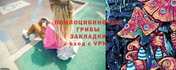 стаф Алзамай