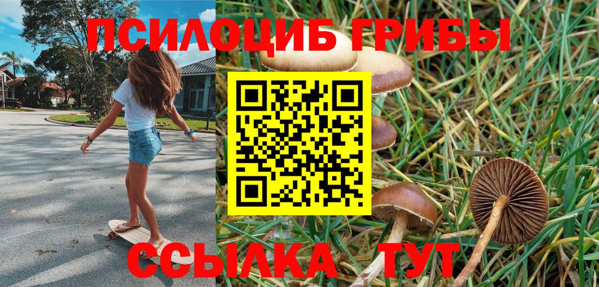 Псилоцибиновые грибы Magic Shrooms Новошахтинск