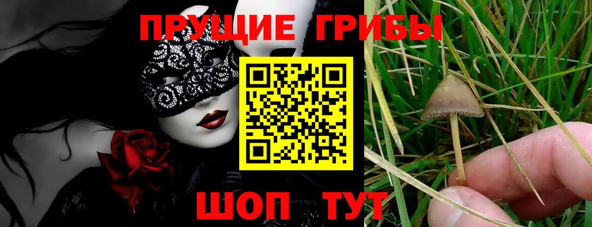 Псилоцибиновые грибы мухоморы  Вход с VPN  где продают наркотики  Новошахтинск 